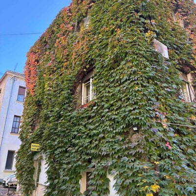 Alquiler de un acogedor apartamento de 2 habitaciones, 50 m², cerca del centro de Belgrado, Serbia